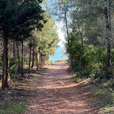 Villa Paula Alcossebre Mar Y Montana Kültér fotó